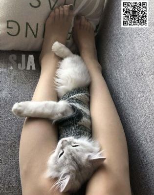 蜡笔小新:好别致的影分身 动画片
