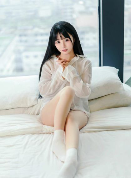 细狗网页版免费登录入口