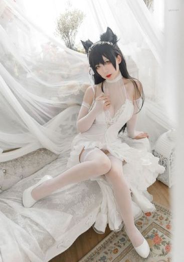 四虎精品在线