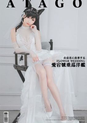 大地资源高清在线视频播放