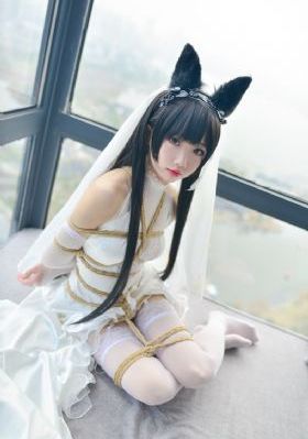 感观世界