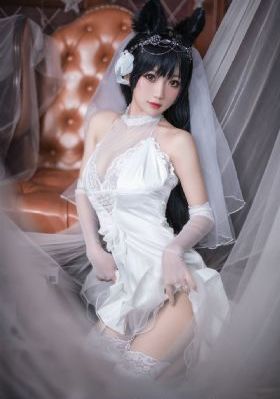 书卷一梦电视剧免费观看完整版