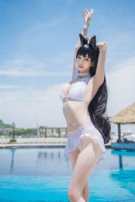 舰队收藏